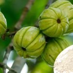 Garcinia Cambogia Extract